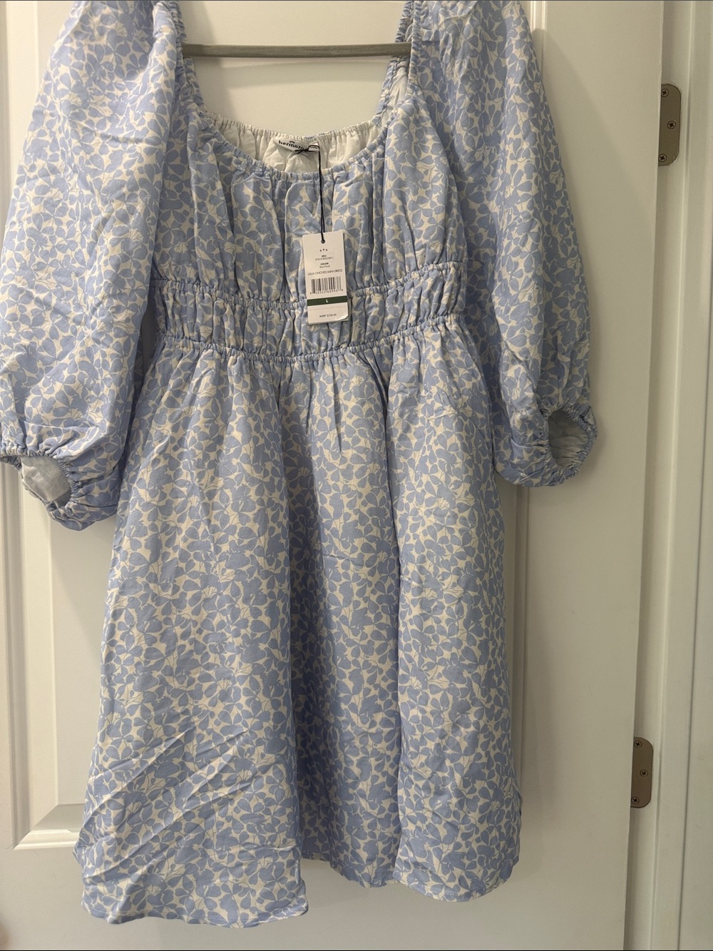 Hermoza Light Blue Floral Puff-Sleeve Mini Dress